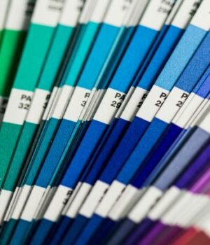 Який-найрідкісніший-колір-у живій-природі:-вчені-розповіли Який-найрідкісніший-колір-у живій-природі:-вчені-розповіли