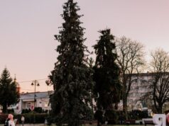 Коли засвітять головні ялинки Луцька Коли-засвітять-головні-ялинки-Луцька