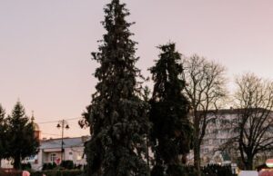 Коли засвітять головні ялинки Луцька Коли-засвітять-головні-ялинки-Луцька