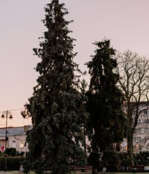 Коли-засвітять-головні-ялинки-Луцька Коли-засвітять-головні-ялинки-Луцька
