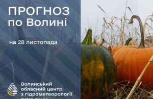 Якою буде погода у Луцьку та на Волині у п’ятницю, 28 листопада Якою-буде-погода-у-Луцьку-та-на-Волині-у-п’ятницю,-28-листопада