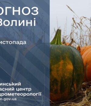 Якою-буде-погода-у-Луцьку-та-на-Волині-у-п’ятницю,-28-листопада