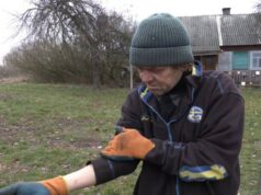 Вбив вовка вилами: яка ситуація з поширенням сказу і відстрілом диких тварин на Волині Вбив-вовка-вилами:-яка-ситуація-з-поширенням-сказу-і-відстрілом-диких-тварин-на-Волині