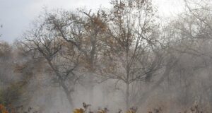 Якою буде погода в грудні: синоптик попередив про температурну аномалію на початку зими Якою-буде-погода-в грудні:-синоптик-попередив-про-температурну-аномалію-на початку-зими