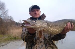 Порадував трофейчик: рибалка з Луцька упіймав гігантську щуку Порадував-трофейчик:-рибалка-з-Луцька-упіймав-гігантську-щуку