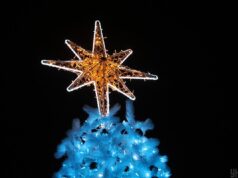 Понад 4 тисячі іграшок: якою буде головна ялинка країни Понад-4-тисячі-іграшок:-якою-буде-головна-ялинка-країни