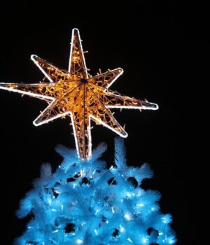 Понад-4-тисячі-іграшок:-якою-буде-головна-ялинка-країни Понад-4-тисячі-іграшок:-якою-буде-головна-ялинка-країни