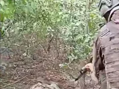 Окупанти розстріляли військовополоненого на Покровському напрямку – прокуратура Окупанти-розстріляли-військовополоненого-на-Покровському-напрямку-–-прокуратура