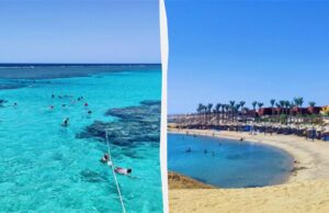 Від дайвінгу до усамітнення: названо найкращі пляжі Єгипту Від-дайвінгу-до-усамітнення:-названо-найкращі-пляжі-Єгипту