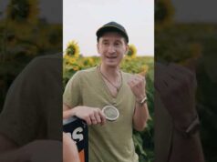 Бампер і Сус знову в полі 🌻 (ВІДЕО) Бампер і Сус знову в полі 🌻 (ВІДЕО)