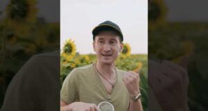Бампер і Сус знову в полі 🌻 (ВІДЕО) Бампер і Сус знову в полі 🌻 (ВІДЕО)