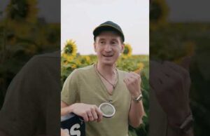 Бампер і Сус знову в полі 🌻 (ВІДЕО) Бампер і Сус знову в полі 🌻 (ВІДЕО)