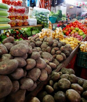 Помідори-та-капуста-злетіли-в-ціні,-а-картопля-дешевшає:-які-ціни-на-ринку-зараз Помідори-та-капуста-злетіли-в-ціні,-а-картопля-дешевшає:-які-ціни-на-ринку-зараз