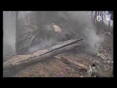 Очі та Жало: вписати хробака у ландшафт. Працюють пілоти 414 бригади Птахи Мадяра. (ВІДЕО) Очі та Жало: вписати хробака у ландшафт. Працюють пілоти 414 бригади Птахи Мадяра. (ВІДЕО)