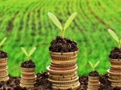 Волиняни сплатили понад 634 млн грн за землю до місцевих бюджетів Волиняни-сплатили-понад-634-млн-грн-за-землю-до-місцевих-бюджетів