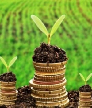 Волиняни-сплатили-понад-634-млн-грн-за-землю-до-місцевих-бюджетів Волиняни-сплатили-понад-634-млн-грн-за-землю-до-місцевих-бюджетів