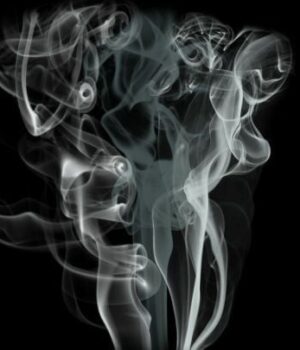 На Львівщині-у будинку-виявили-мертвими-жінку-та двох-дітей На Львівщині-у будинку-виявили-мертвими-жінку-та двох-дітей