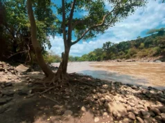 Запаси води в Європі виснажуються через кліматичні зміни – Guardian Запаси-води-в-Європі-виснажуються-через-кліматичні-зміни-–-guardian