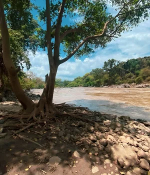 Запаси-води-в-Європі-виснажуються-через-кліматичні-зміни-–-guardian
