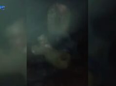 Б’ють, знущаються і знімають на відео: підлітки тримають у страху ціле село на Волині Б’ють,-знущаються-і-знімають-на-відео:-підлітки-тримають-у-страху-ціле-село-на-Волині