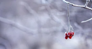 В Україну йде похолодання до +9 градусів: прогноз погоди у неділю 30 листопада В-Україну-йде-похолодання-до-+9-градусів:-прогноз-погоди-у-неділю-30-листопада