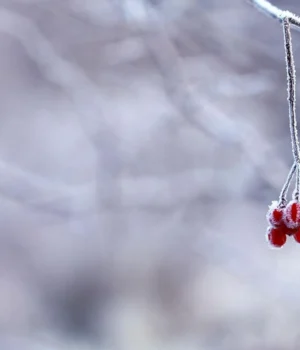 В-Україну-йде-похолодання-до-+9-градусів:-прогноз-погоди-у-неділю-30-листопада