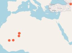 Уздовж фронту в Україні та навіть в Африці: ГУР зламало мережі спецзв’язку Росії Уздовж-фронту-в-Україні-та-навіть-в-Африці:-ГУР-зламало-мережі-спецзв’язку-Росії