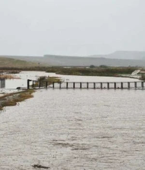 Десятки-тисяч-румунів-залишилися-без-питної-води-через-проблеми-на-греблі Десятки-тисяч-румунів-залишилися-без-питної-води-через-проблеми-на-греблі