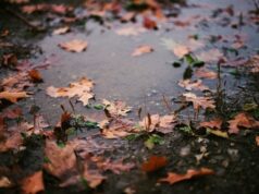 Синоптики оновили прогноз погоди на останній день осені Синоптики-оновили-прогноз-погоди-на останній-день-осені