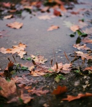 Синоптики-оновили-прогноз-погоди-на останній-день-осені Синоптики-оновили-прогноз-погоди-на останній-день-осені