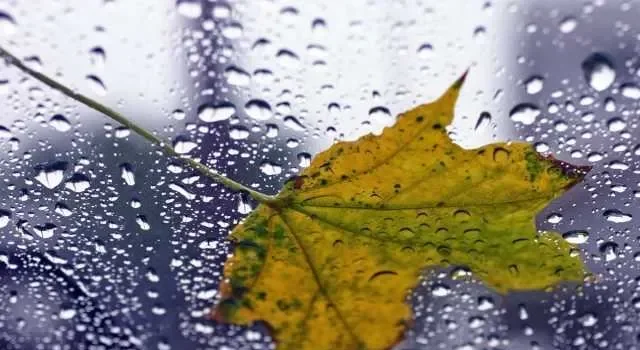 Сьогодні у деяких регіонах пройдуть дощі – карта Сьогодні у деяких регіонах пройдуть дощі – карта