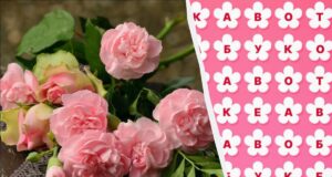 97% людей не можуть знайти слово “букет” за 11 секунд: дуже складна головоломка 97%-людей-не-можуть-знайти-слово-“букет”-за-11-секунд:-дуже-складна-головоломка