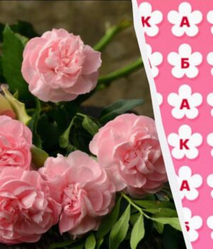 97%-людей-не-можуть-знайти-слово-“букет”-за-11-секунд:-дуже-складна-головоломка