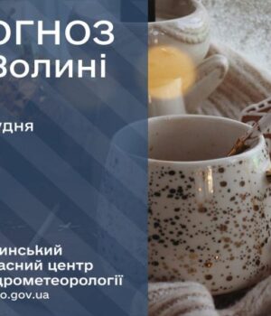 Якою-буде-погода-у-Луцьку-та-на-Волині-у-перший-день-зими Якою-буде-погода-у-Луцьку-та-на-Волині-у-перший-день-зими