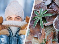 Що зробити на удачу в перший день зими: усі свята та звичаї 1 грудня 2025 Що-зробити-на-удачу-в-перший-день-зими:-усі-свята-та-звичаї-1-грудня-2025