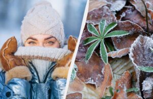 Що зробити на удачу в перший день зими: усі свята та звичаї 1 грудня 2025 Що-зробити-на-удачу-в-перший-день-зими:-усі-свята-та-звичаї-1-грудня-2025