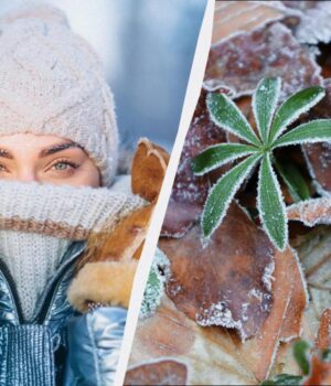 Що-зробити-на-удачу-в-перший-день-зими:-усі-свята-та-звичаї-1-грудня-2025