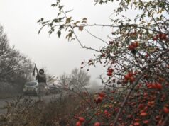 «За крок від втрати»: як ЗСУ зупинили армію РФ біля Гуляйполя «За-крок-від-втрати»:-як-ЗСУ-зупинили-армію-РФ-біля-Гуляйполя