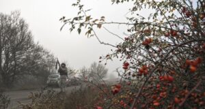 «За крок від втрати»: як ЗСУ зупинили армію РФ біля Гуляйполя «За-крок-від-втрати»:-як-ЗСУ-зупинили-армію-РФ-біля-Гуляйполя