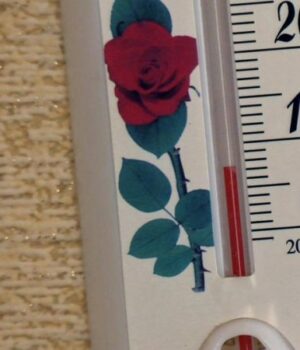 У-селищі-на-Волині-заклади-освіти-–-без-опалення:-відкрили-кримінальне-провадження У-селищі-на-Волині-заклади-освіти-–-без-опалення:-відкрили-кримінальне-провадження