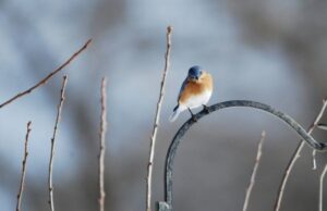 Теплий початок грудня: якої погоди слід очікувати волинянам цього тижня Теплий-початок-грудня:-якої-погоди-слід-очікувати-волинянам-цього-тижня