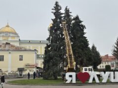 На Театральному майдані Луцька почали прикрашати ялинки На-Театральному-майдані-Луцька-почали-прикрашати-ялинки