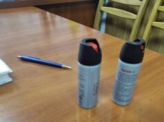 У Луцьку учень розпилив сльозогінний газ у школі: судили його матір У-Луцьку-учень-розпилив-сльозогінний-газ-у-школі:-судили-його-матір