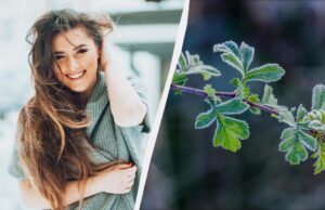 Що сьогодні потрібно принести в дім для щастя: звичаї на свято 2 грудня 2025 Що-сьогодні-потрібно-принести-в-дім-для-щастя:-звичаї-на-свято-2-грудня-2025