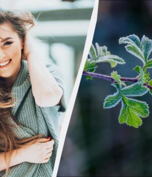 Що-сьогодні-потрібно-принести-в-дім-для-щастя:-звичаї-на-свято-2-грудня-2025