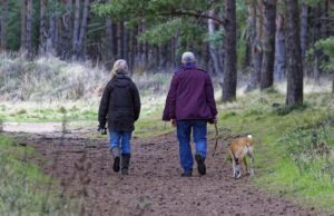 Хода людини може розповісти про стан її здоров’я: експерти поділилися деталями Хода-людини-може-розповісти-про-стан-її-здоров’я:-експерти-поділилися-деталями