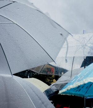 2-грудня-в-Україні-дощитиме:-де-чекати-опадів 2-грудня-в-Україні-дощитиме:-де-чекати-опадів