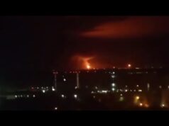 До остаточної денафтофікації боліт дзьобатиме ті хробачі наливайки Вільний Український Птах. (ВІДЕО) До остаточної денафтофікації боліт дзьобатиме ті хробачі наливайки Вільний Український Птах. (ВІДЕО)