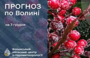 Якою буде погода у Луцьку та на Волині 3 грудня Якою-буде-погода-у-Луцьку-та-на-Волині-3-грудня