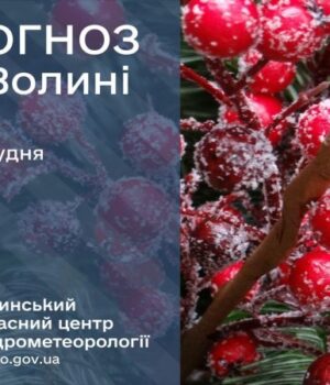Якою-буде-погода-у-Луцьку-та-на-Волині-3-грудня